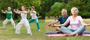 adult tai chi adult tai chi