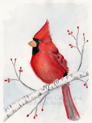 red bird