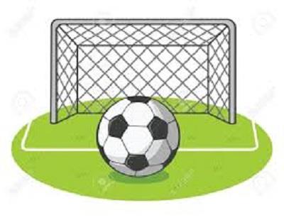 soccer ball and net